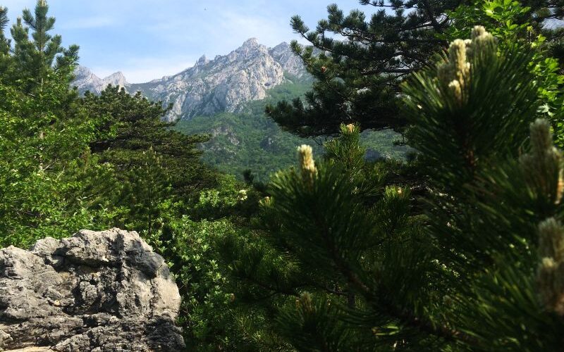 Hiking in Bosnian and Croatian mountains - guided tour